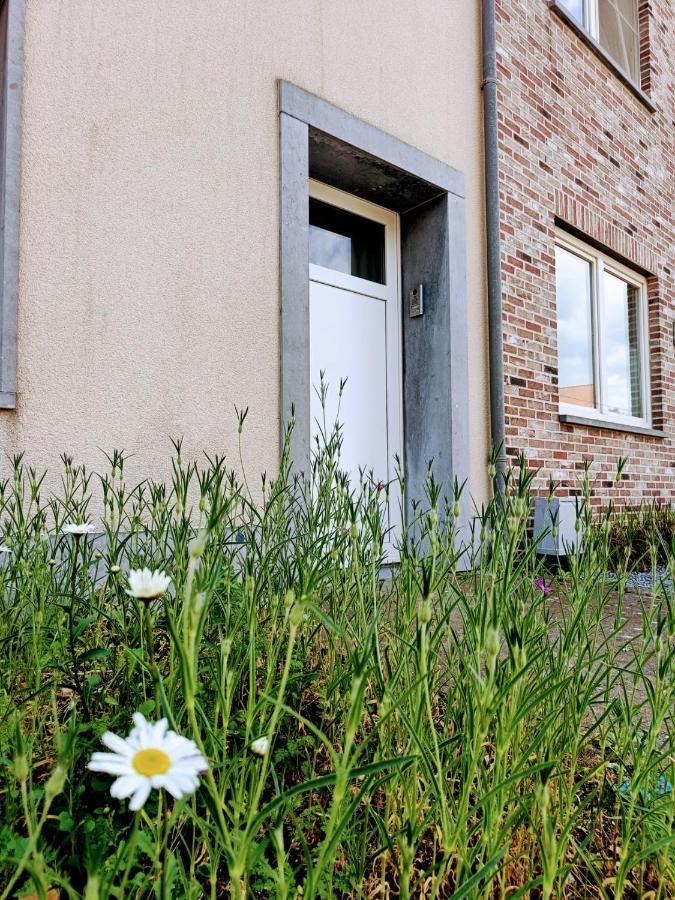 Casa Roman ゾンホーフェン エクステリア 写真